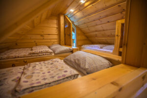Remote Warm Cabins Need Backup Heat Source | Planar Distribution Ltd.