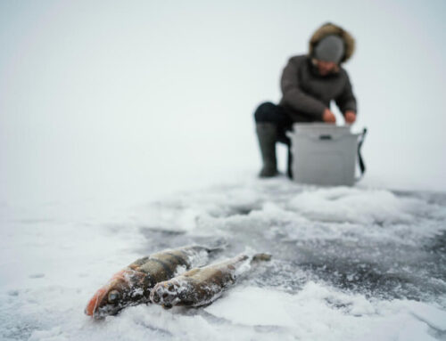 Why Boaters & Fishermen Love Diesel Heaters in the Off-Season